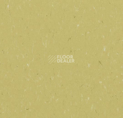 Линолеум Forbo Marmoleum Solid Piano 3634-363435 meadow фото 1 | FLOORDEALER